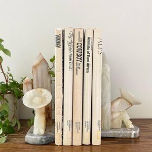 Vintage Marble Bookends Sombrero